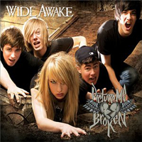 Picture Me Broken - Wide Awake