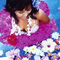 Minmi - Hibiscus (Single)