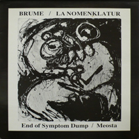 Brume - End Of Symptom Dump / Meosta (Split)