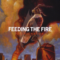 Feeding The Fire - Disinfonation