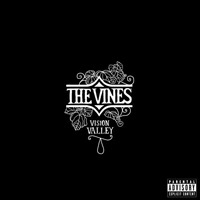 Vines - Vision Valley