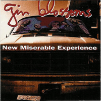 Gin Blossoms - New Miserable Experience
