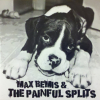 Max Bemis And The Painful Splits - Max Bemis And The Painful Splits