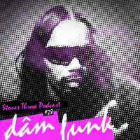 Dam-Funk - Boogie Funk (Stones Throw Podcast #28)