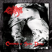 Gore - Consumed By Slow Decay (1999 reissue)