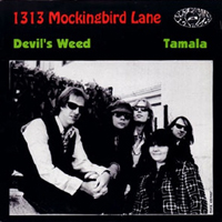 1313 Mockingbird Lane - Devl's Weed