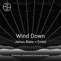 James Blake - Wind Down