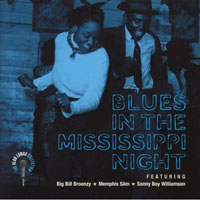 Big Bill Broonzy - Blues in the Mississippi night (split)