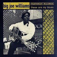 Big Joe Williams - These Are My Blues