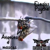 Elegias Psyche - Angeles O Moscas