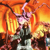 Fungus (ITA) - Better Than Jesus