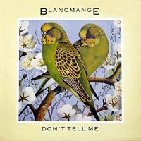 Blancmange - Don't Tell Me (7
