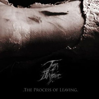 Tunes Of Despair - The Process Of Leaving