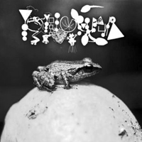 Phyllomedusa - Songs For Frogwatching