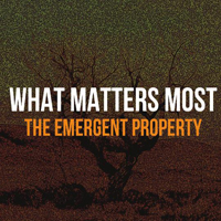 What Matters Most - The Emergent Property