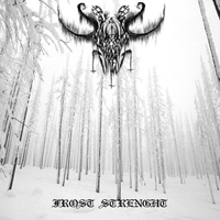 Demonic Forest - Frost Strenght