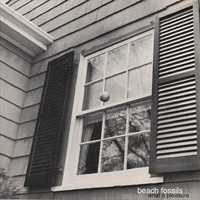 Beach Fossils - What A Pleasure (EP)