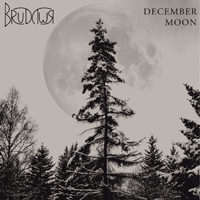 Brudywr - December Moon