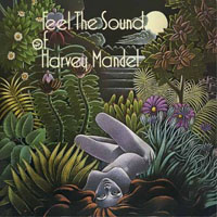 Harvey Mandel - Feel The Sound