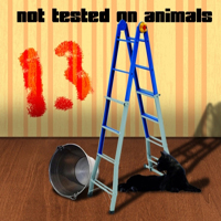 Not Tested On Animals - 13