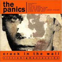 Panics - Crack In The Wall