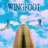 Noah23 - Wingfoot