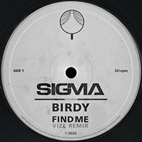 Birdy - Find Me (Vize Remix)