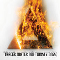 Tracer (AUS) - Water for Thirsty Dogs