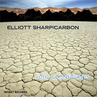 Elliott Sharp - Void Coordinates