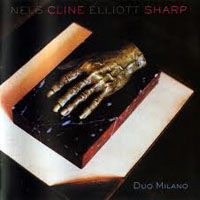 Elliott Sharp - Nels Cline & Elliott Sharp - Duo Milano (split)