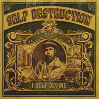 I Self Devine - Self Destruction