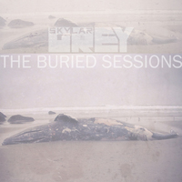 Skylar Grey - The Buried Sessions (EP)