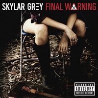 Skylar Grey - Final Warning