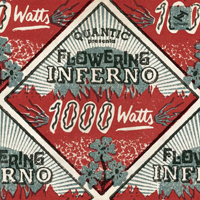 Quantic - Quantic And Flowering Inferno - 1000 Watts