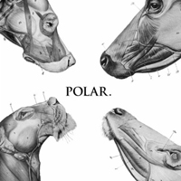 Polar (GBR) - This Polar Noise (EP)