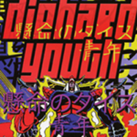 Diehard Youth - Four Years The Hard Way