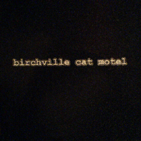 Birchville Cat Motel - Birchville Cat Motel