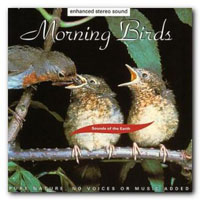 David Sun - Morning Birds