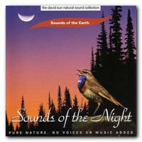 David Sun - Sounds Of The Night