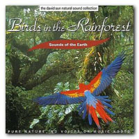 David Sun - Birds In The Rainforest