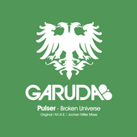 Pulser - Broken Universe