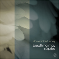Daniel Robert Lahey - Breathing May Surprise