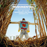 Rudimental - These Days (Single) 