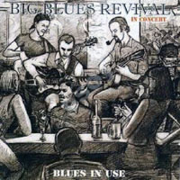 Big Blues Revival - Blues In Use