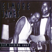 Elmore James - Slip Sliding Away