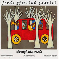 Frode Gjerstad - Through the Woods