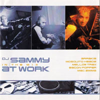 DJ Sammy - DJ Sammy At Work In The Mix (CD 2)