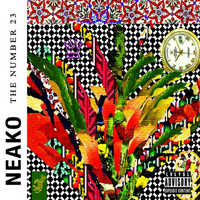 NeakO - The Number 23