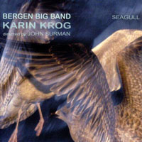 Krog, Karin - Seagull