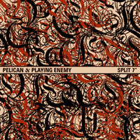 Pelican - Pelican / Playing Enemy (Split 7